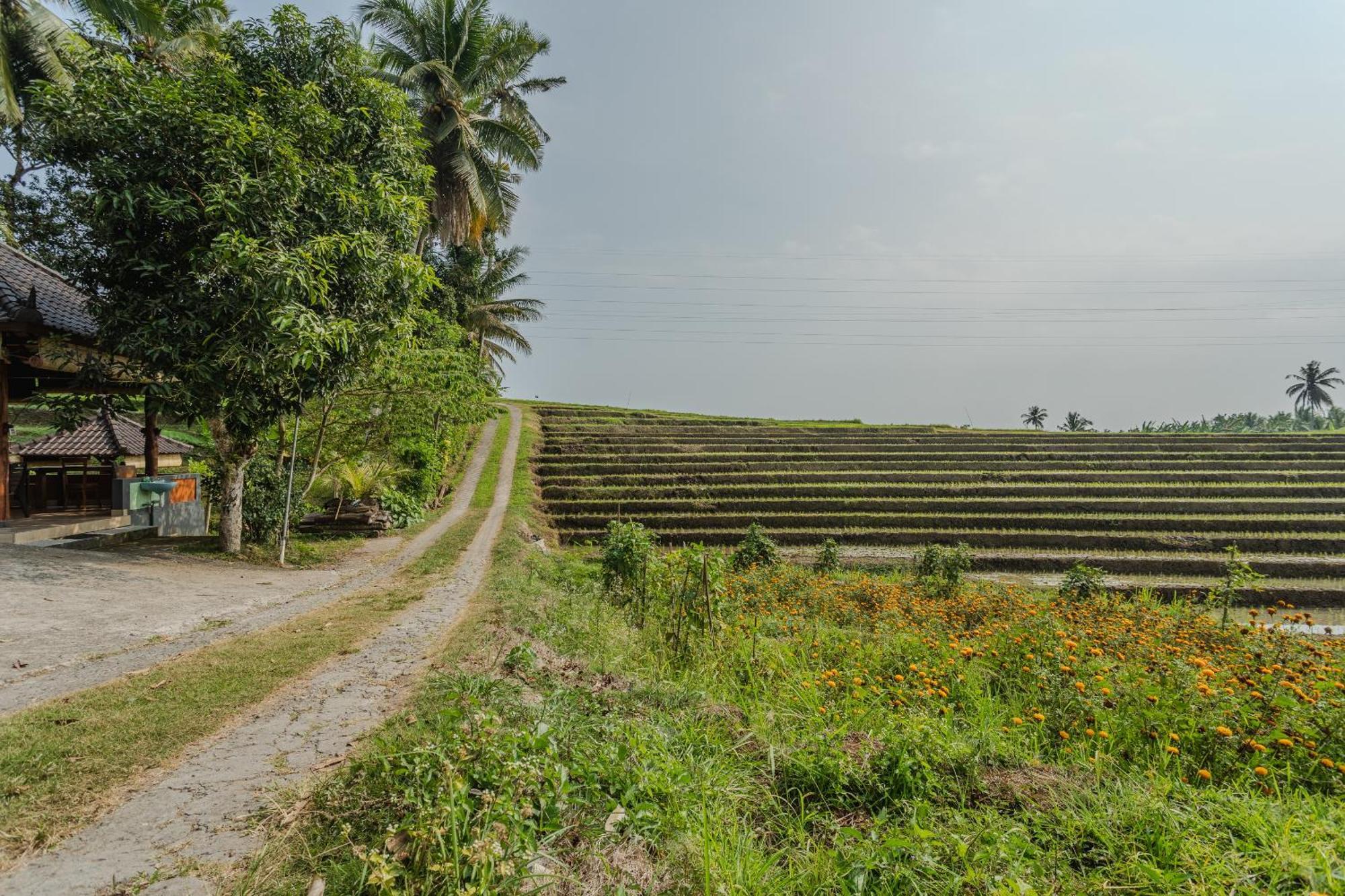 Pondok Hari Baik Balian エクステリア 写真