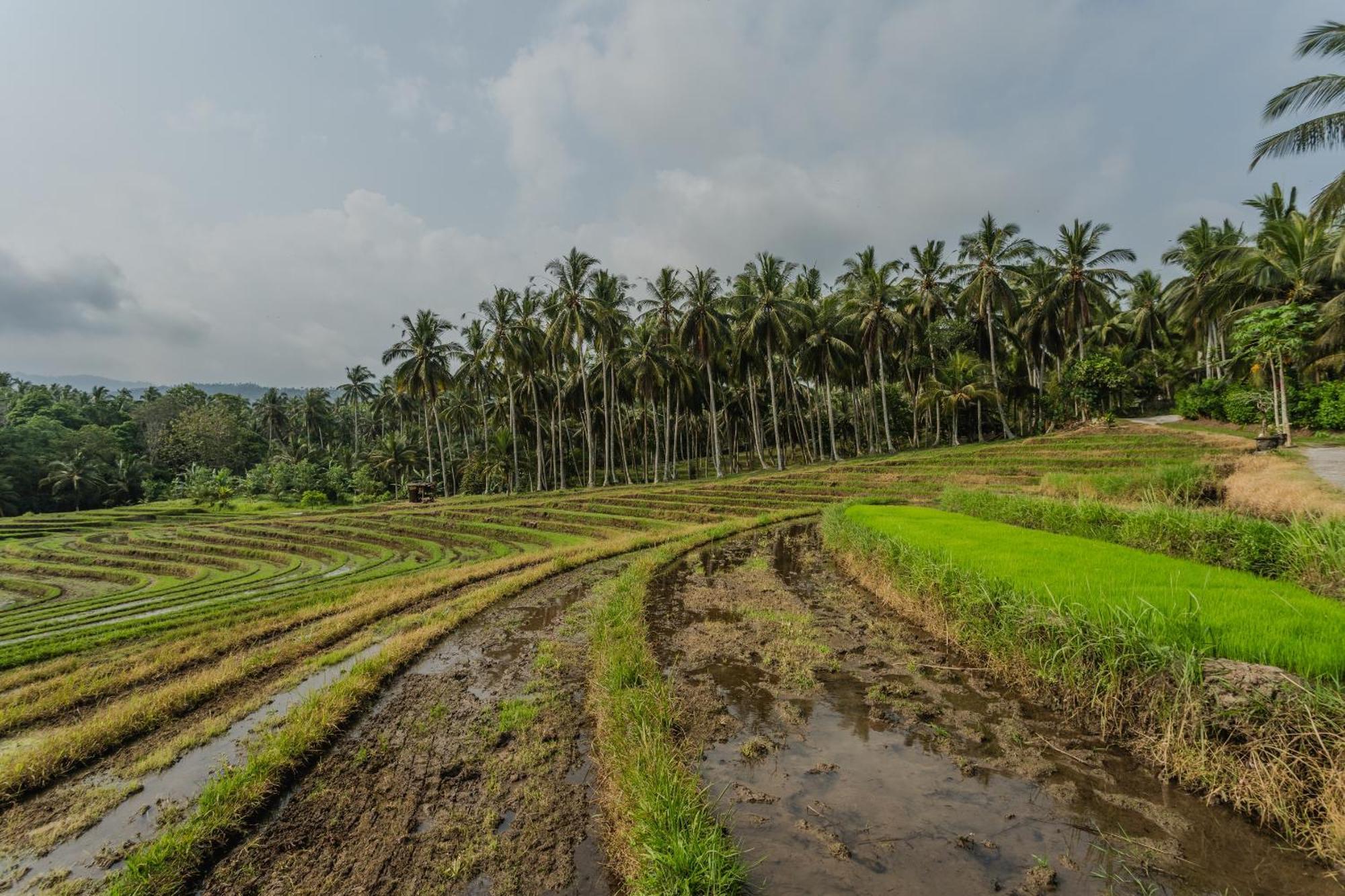 Pondok Hari Baik Balian エクステリア 写真
